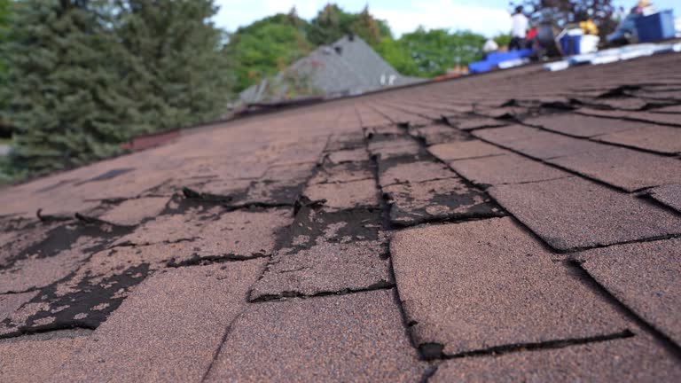 Best Roof Ventilation Installation  in Cvallis, OR
